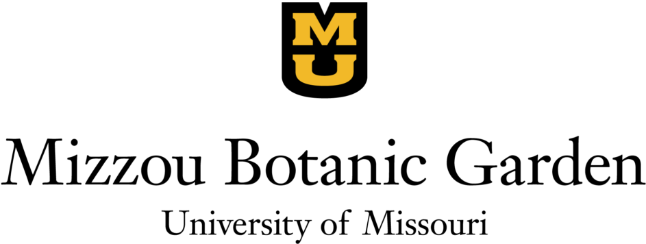 logo 6